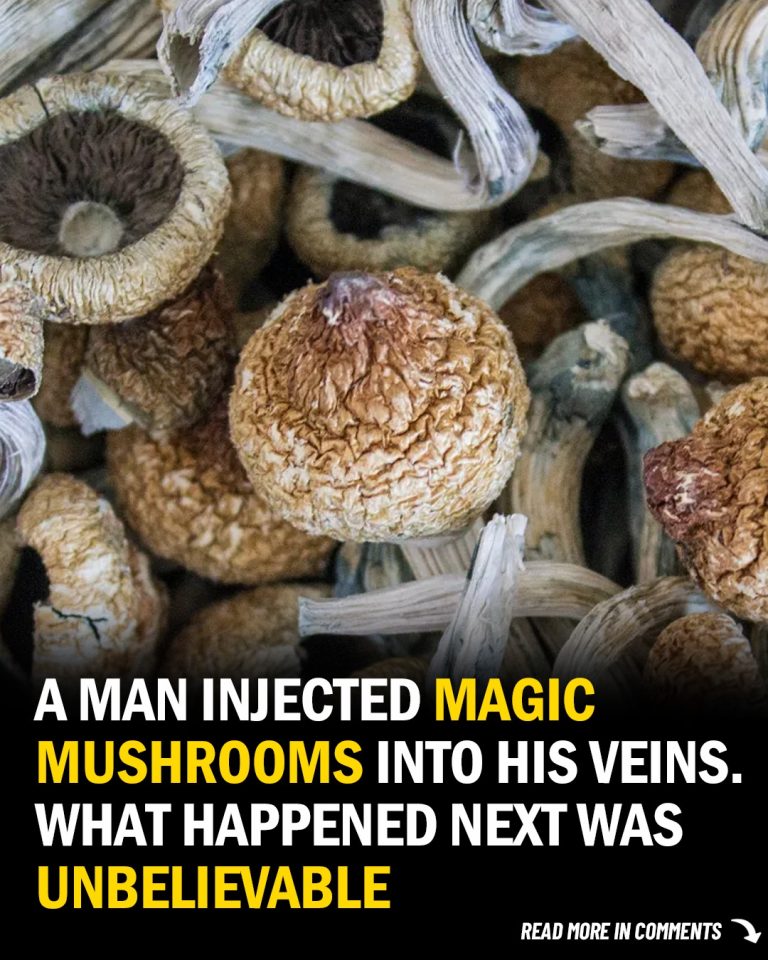 A Man Once Injected Magic Mushrooms Into His Veins. What Happened Next Was Unbelievable