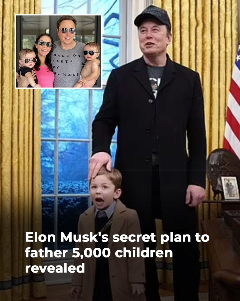 Elon Musk’s secret plan to father 5,000 children: Public meltdowns in White House, toxic feuds with his harem of mothers and the shocking reason he’s so keen to offer his sperm around revealed