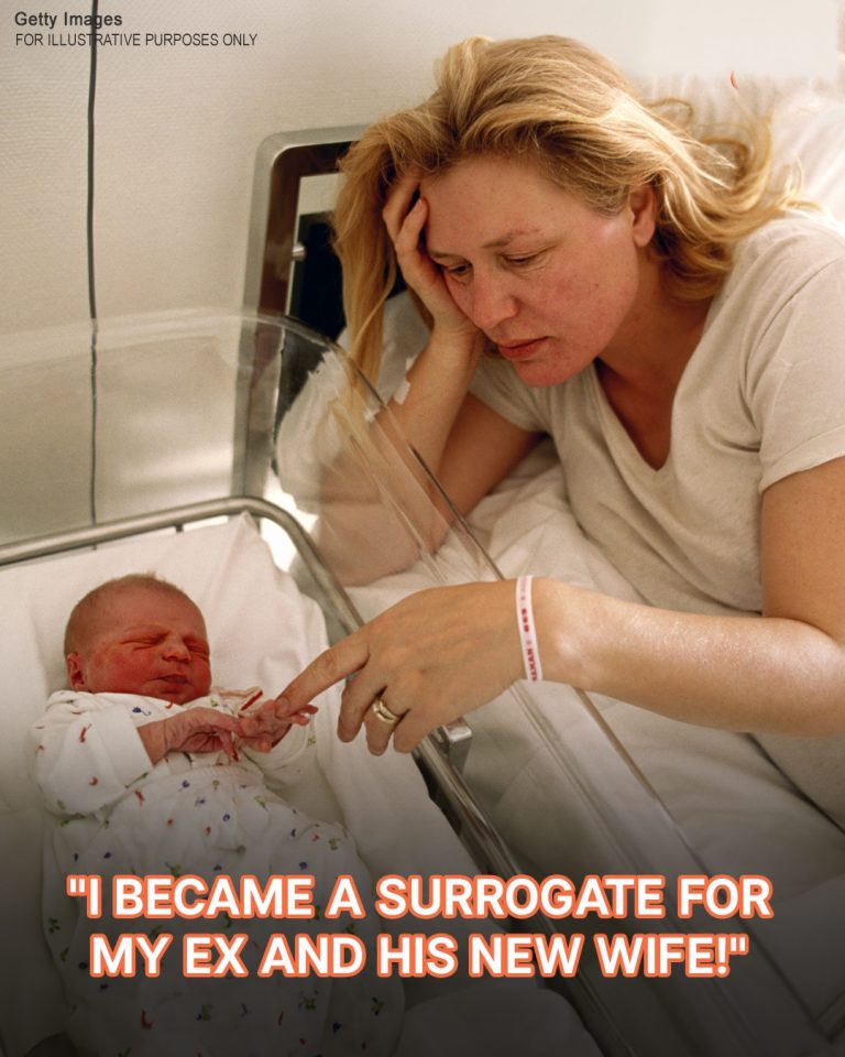 My Ex-Husband Asked Me to Be a Surrogate for Him and His New Wife – It Ended Not as He Expected