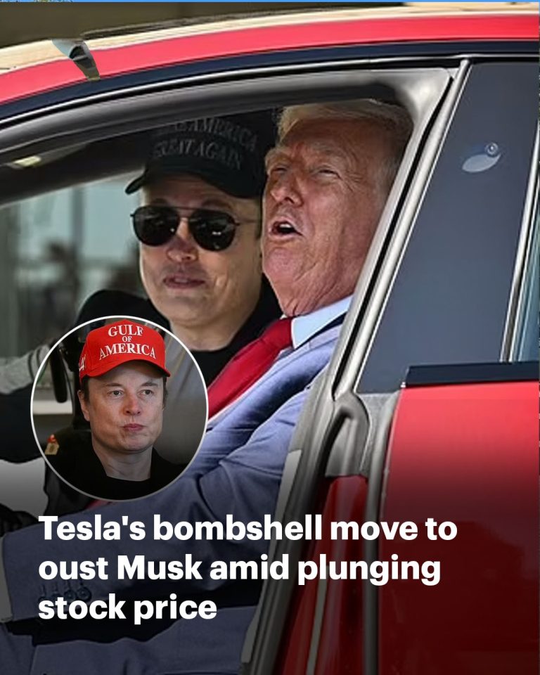 Tesla searches for new CEO to replace Elon Musk amid stock turmoil and forces White House exit