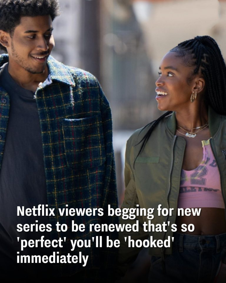 Netflix viewers begging for new series to be renewed that’s so ‘perfect’ you’ll be ‘hooked’ immediately