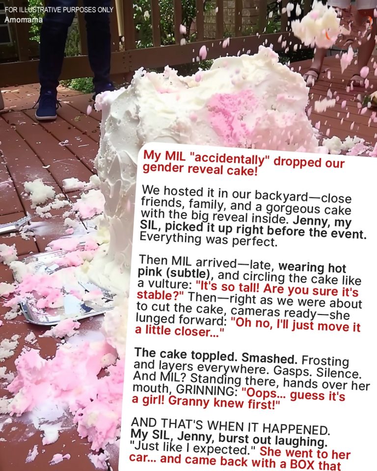 My MIL ‘Accidentally’ Dropped Our Gender Reveal Cake – But Her Smile Told a Different Story