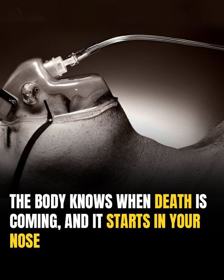 A Study Reveals: Your Body Knows When Death Is Near, And It All Begins In The Nose