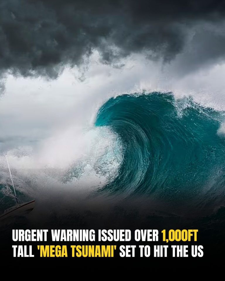 Experts Warn 1,000ft Mega Tsunami Could Slam Into Us Coast — Is Your Hometown In Danger?