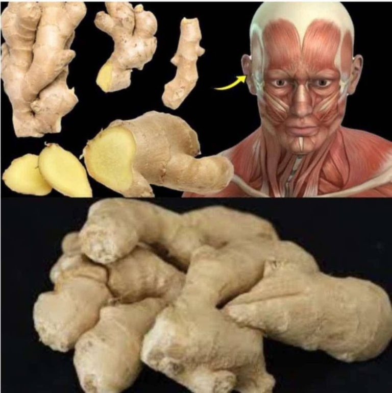 Surprising Health Benefits of Eating Ginger Every Day