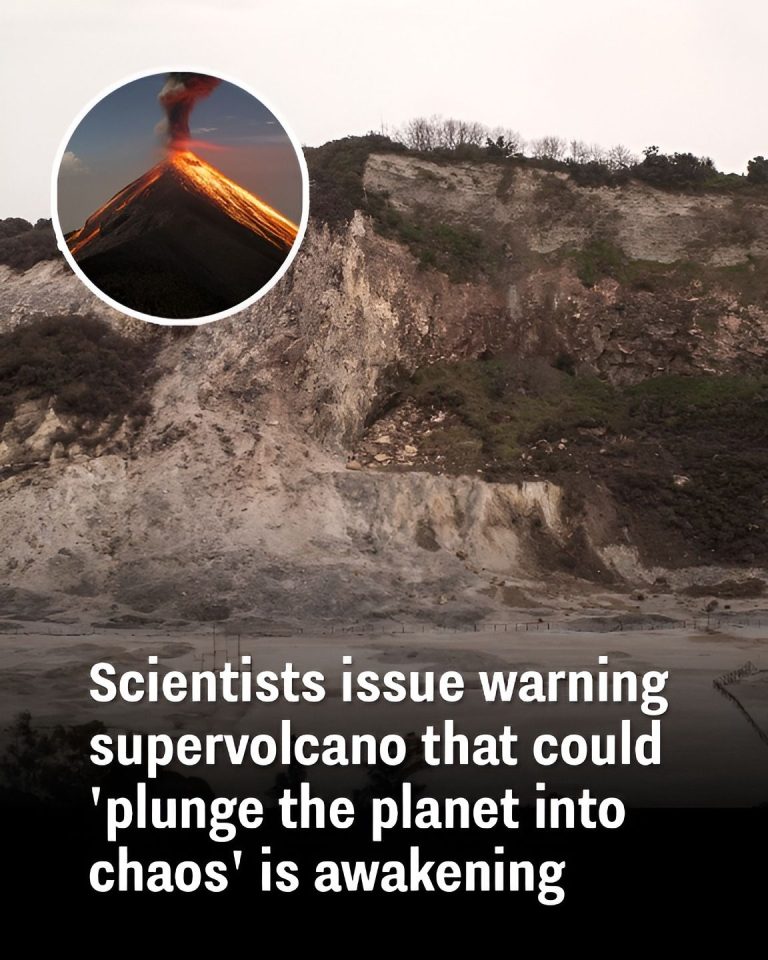 Supervolcano Shows Signs of Waking, Scientists Say It Could Affect Entire Planet