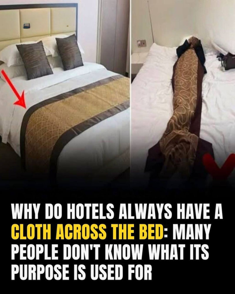 What’s The Purpose Of The Fabric Strip Across Hotel Beds