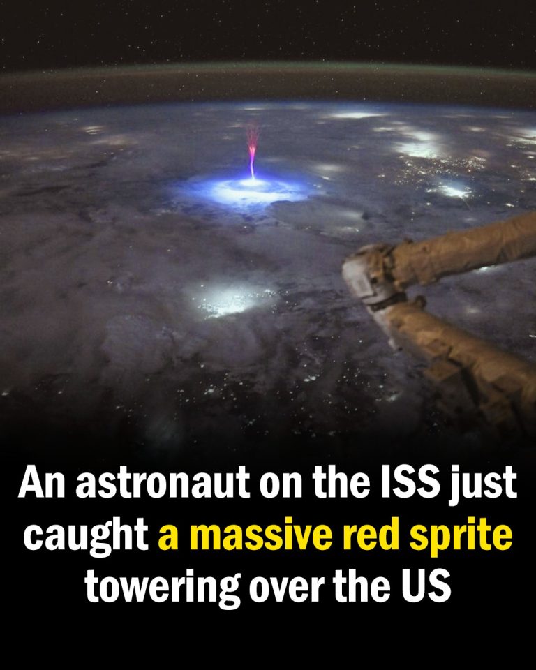 Astronaut Captures Stunning “Jellyfish” Sprite Lightning from Space