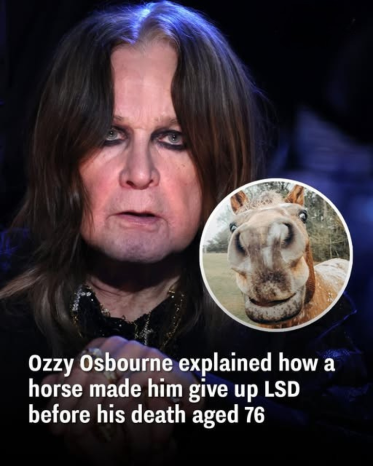 Ozzy Osbourne explained how a horse made him give up LSD before his death aged 76