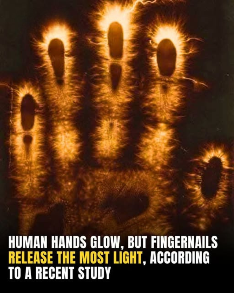 The Hidden Light In Your Hands That Shouldn’t Be Dimmed