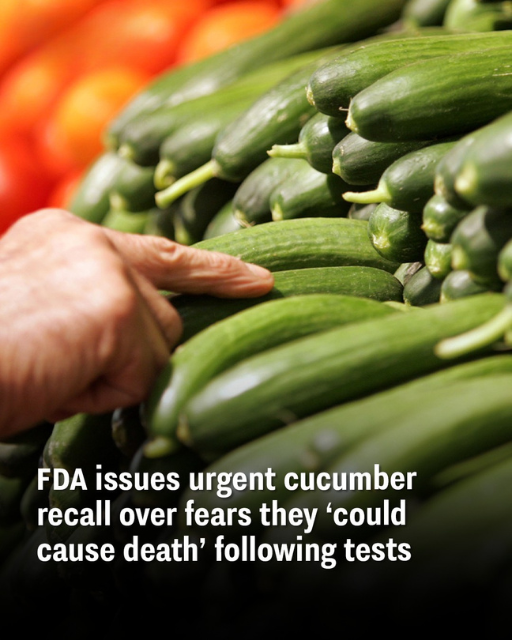 FDA issues urgent cucumber recall over fears they ‘could cause death’ following tests