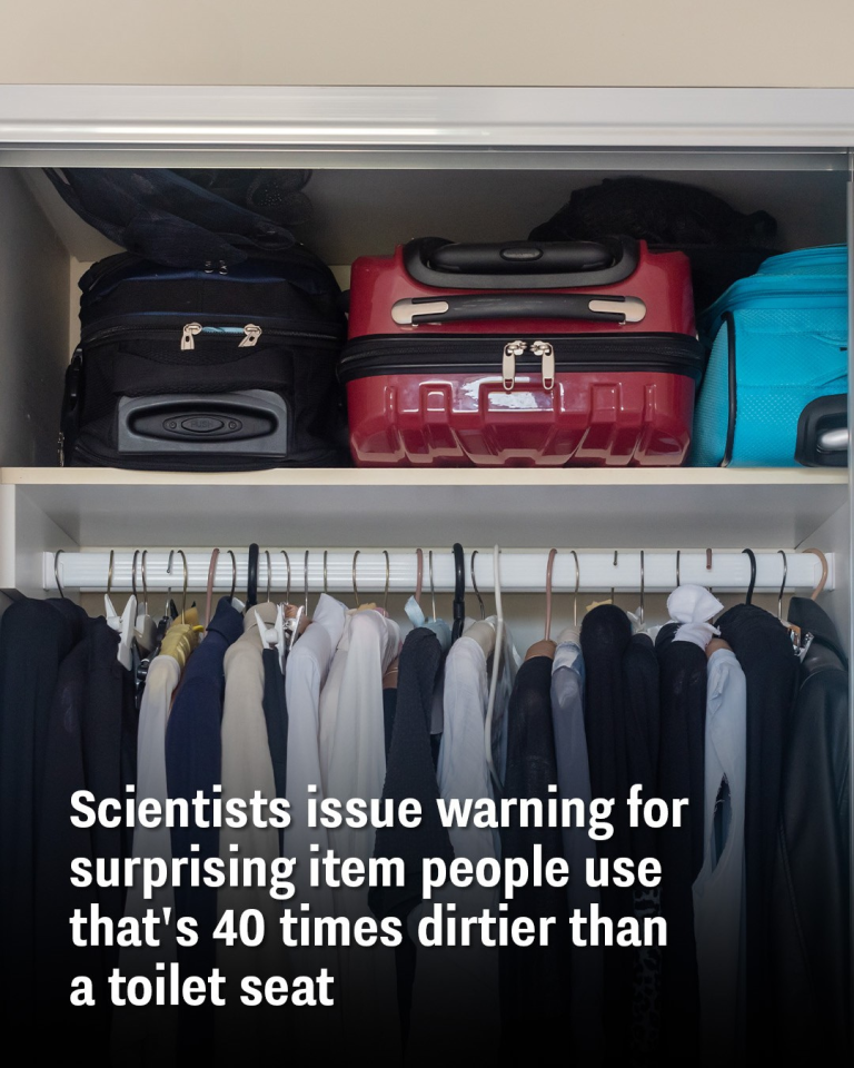 Scientists issue warning for surprising item people use that’s 40 times dirtier than a toilet seat