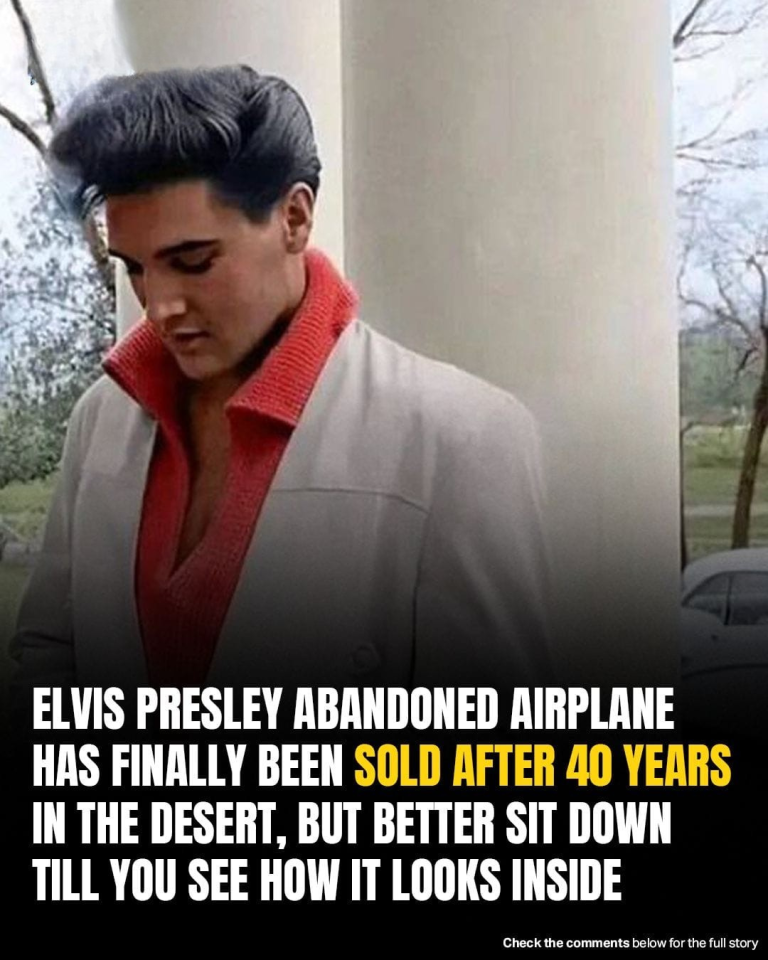 Elvis Presley’s Private Flight From 1962 Has Finally Been Sold – The Interior Is Amazing