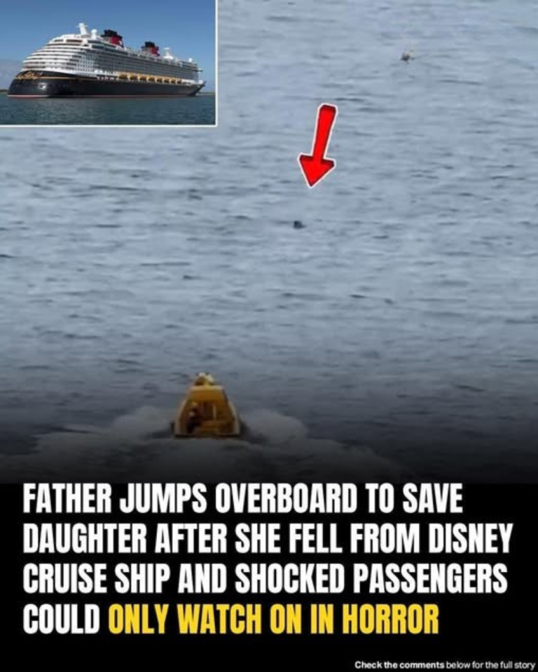 Hero Dad Leaps Off Disney Cruise Ship To Save Daughter Who Fell Overboard