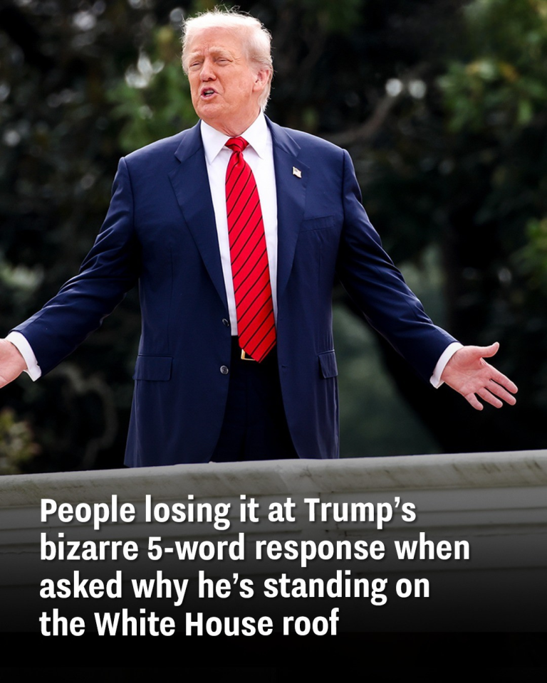People losing it at Trump’s bizarre 5-word response when asked why he’s standing on the White House roof