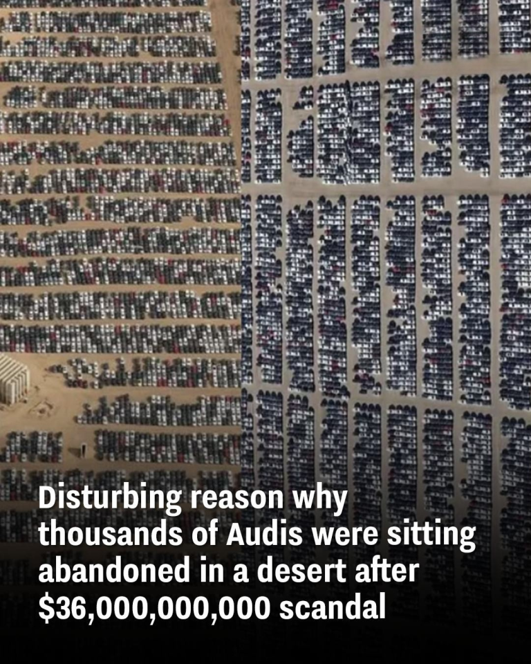 Disturbing reason why thousands of Audis were sitting abandoned in a desert after $36,000,000,000 scandal