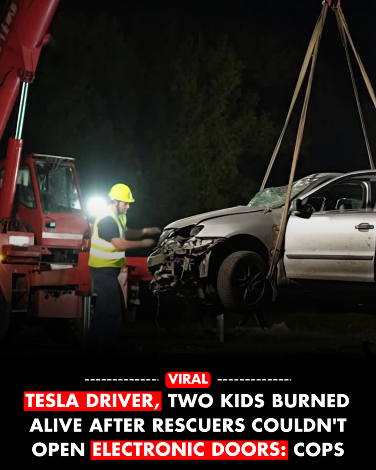 Tesla driver, two kids burned alive after rescuers couldn’t open electronic doors: cops